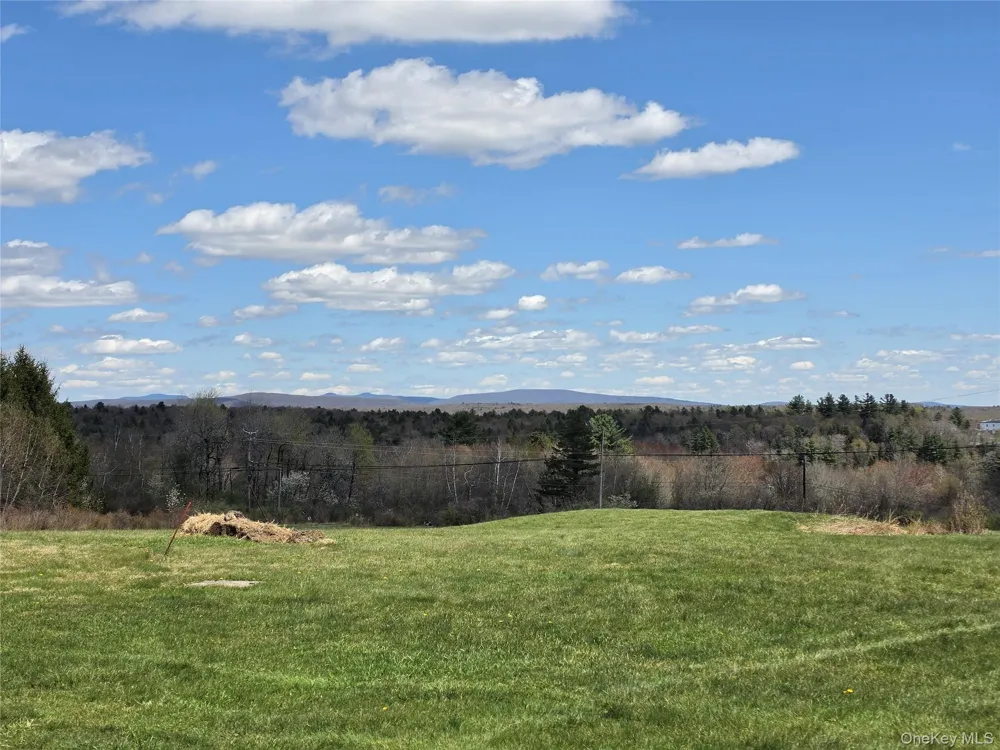 48 Mullen Road Parksville, NY 12768