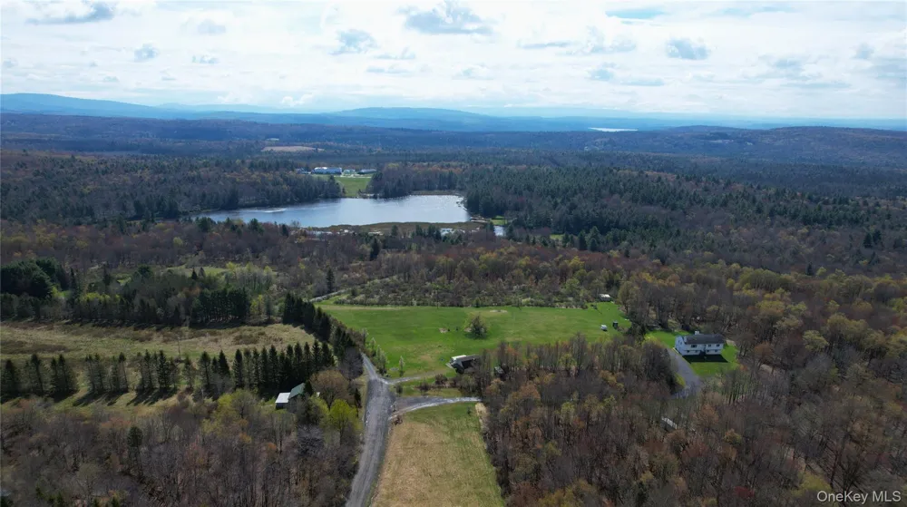48 Mullen Road Parksville, NY 12768