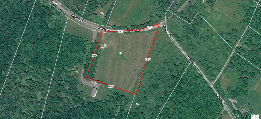 48 Mullen Road Parksville, NY 12768