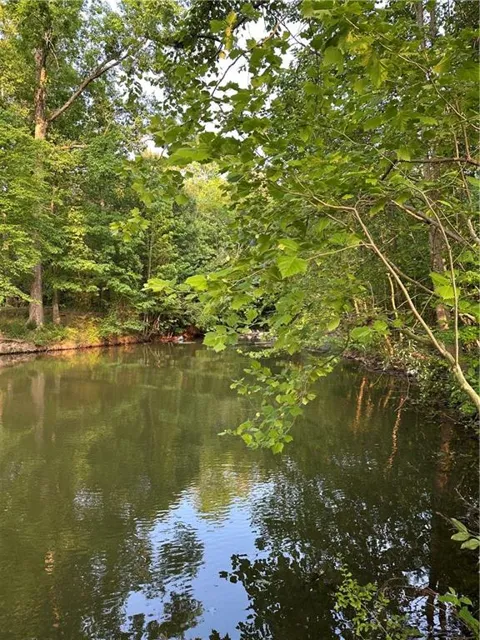 Lot 5 County Road 520