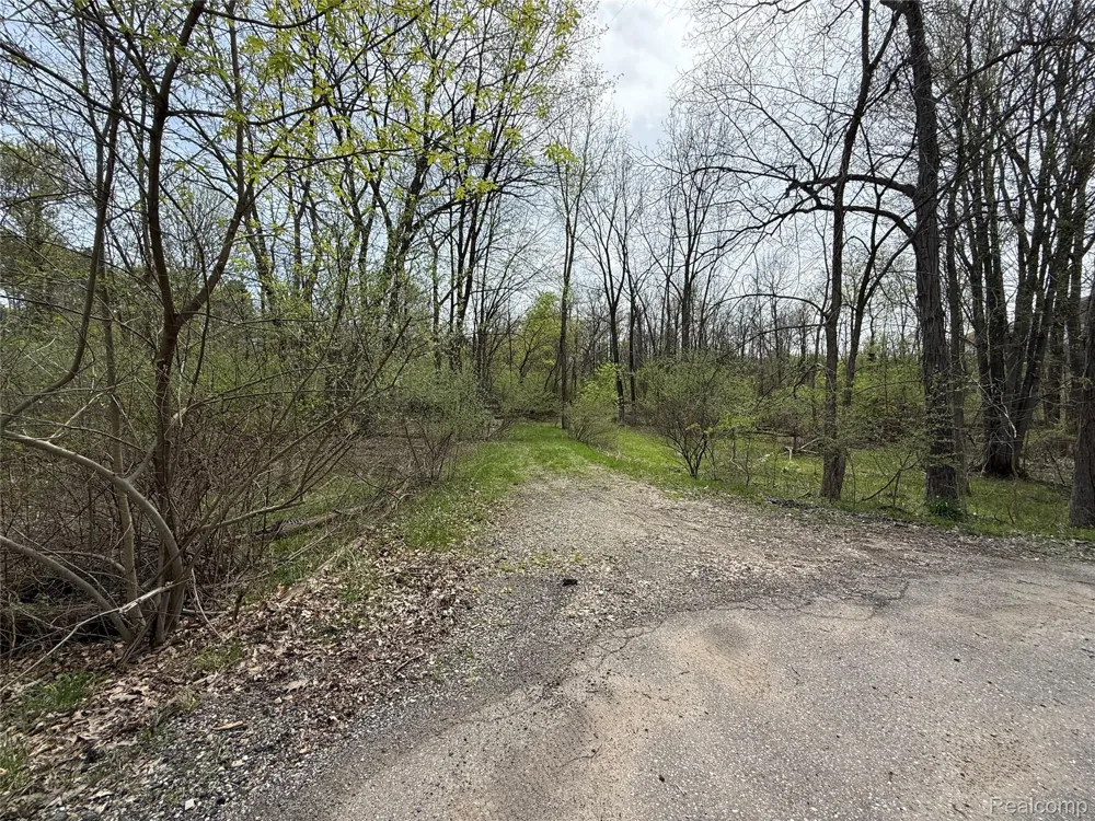 66 Preserve Drive Tyrone Township, MI 48430