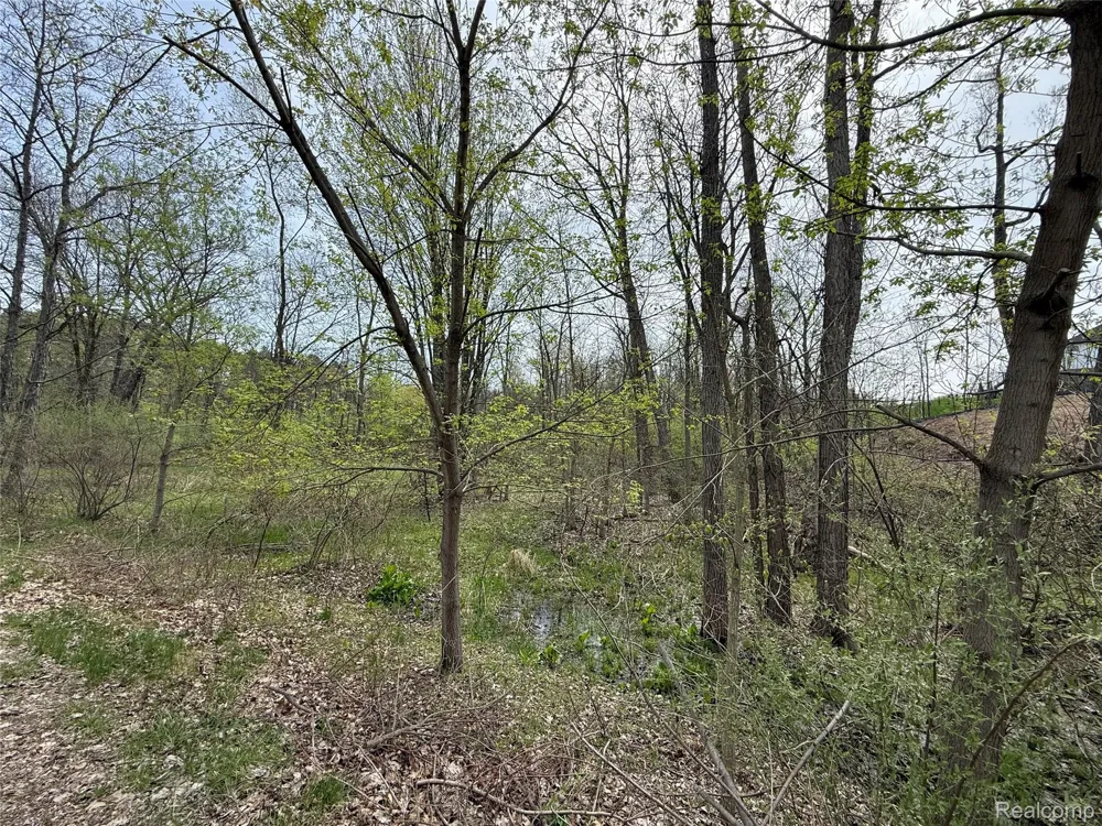 66 Preserve Drive Tyrone Township, MI 48430