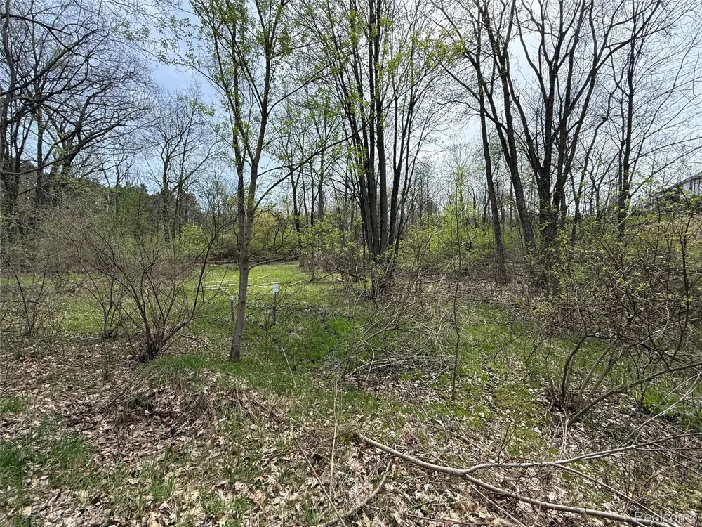 66 Preserve Drive Tyrone Township, MI 48430