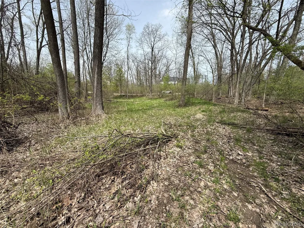 66 Preserve Drive Tyrone Township, MI 48430