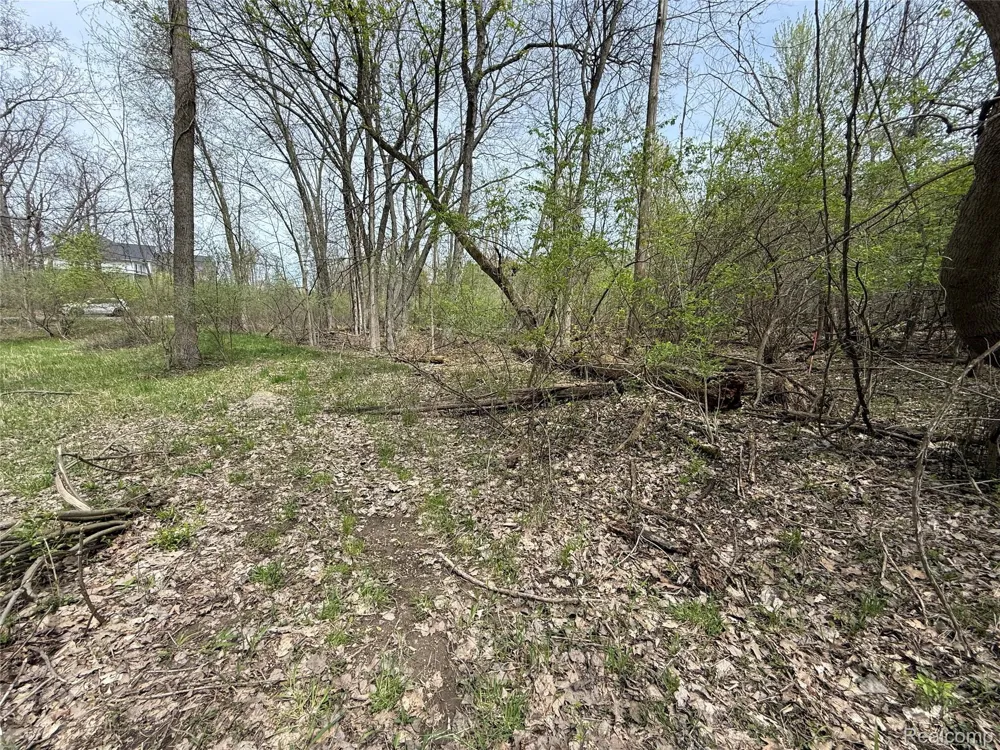 66 Preserve Drive Tyrone Township, MI 48430