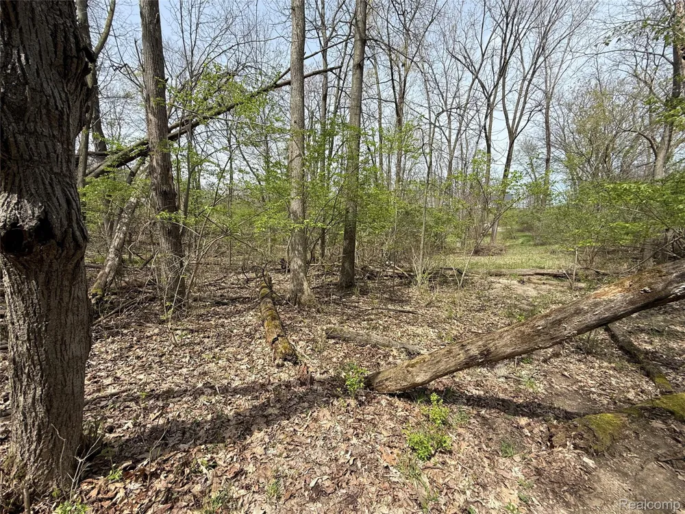 66 Preserve Drive Tyrone Township, MI 48430
