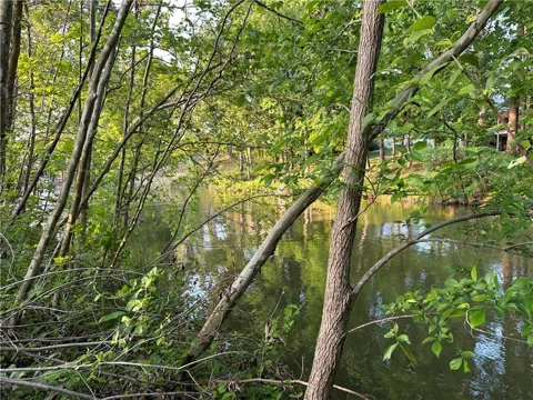Lot 6 County Road 520
