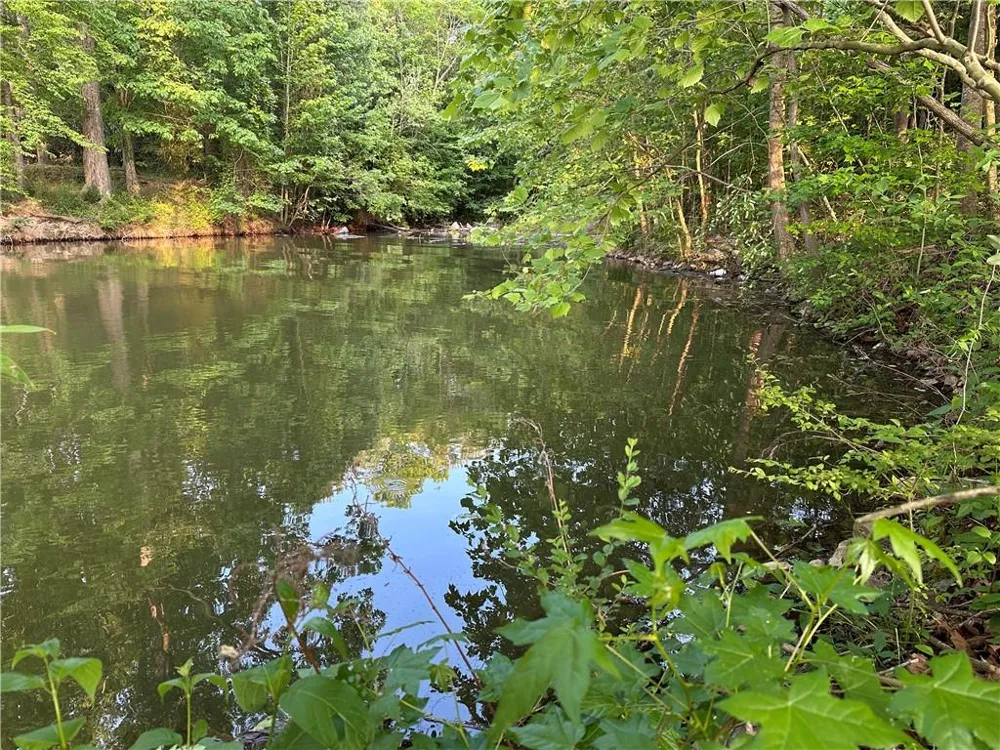 Lot 6 County Road 520 Centre, AL 35960