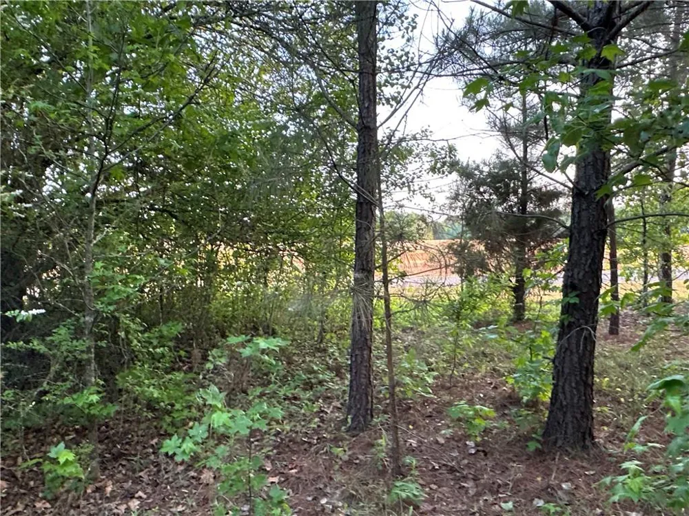 Lot 6 County Road 520 Centre, AL 35960
