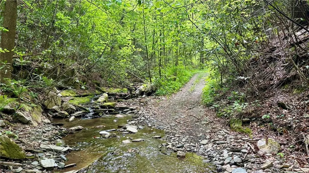 000 Old NC Highway 16 Millers Creek, NC 28651