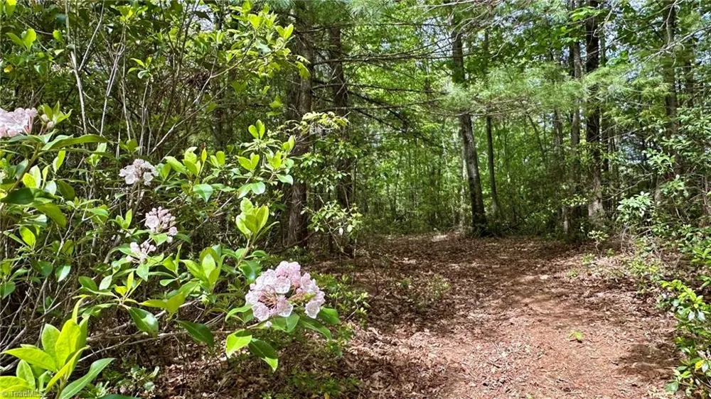 000 Old NC Highway 16 Millers Creek, NC 28651