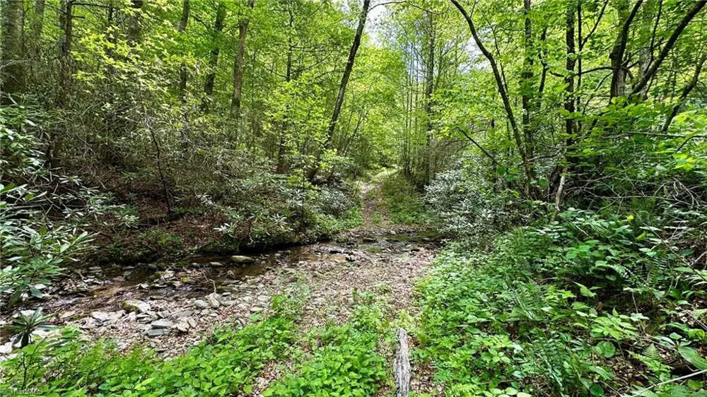 000 Old NC Highway 16 Millers Creek, NC 28651