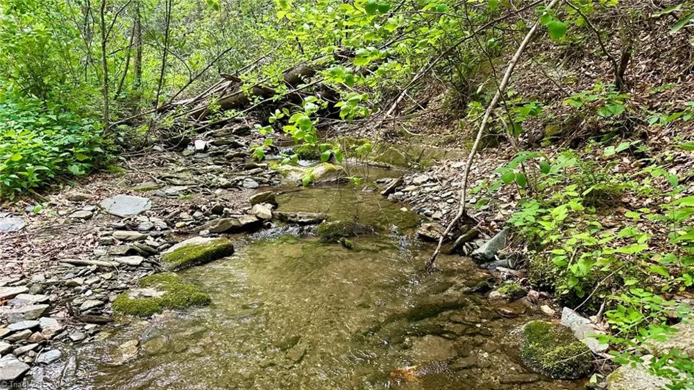000 Old NC Highway 16 Millers Creek, NC 28651