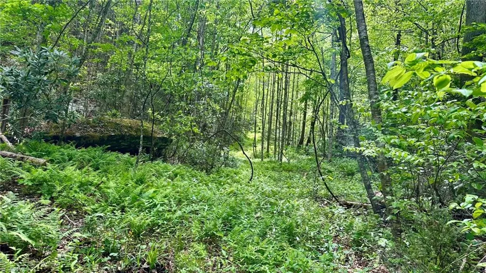 000 Old NC Highway 16 Millers Creek, NC 28651