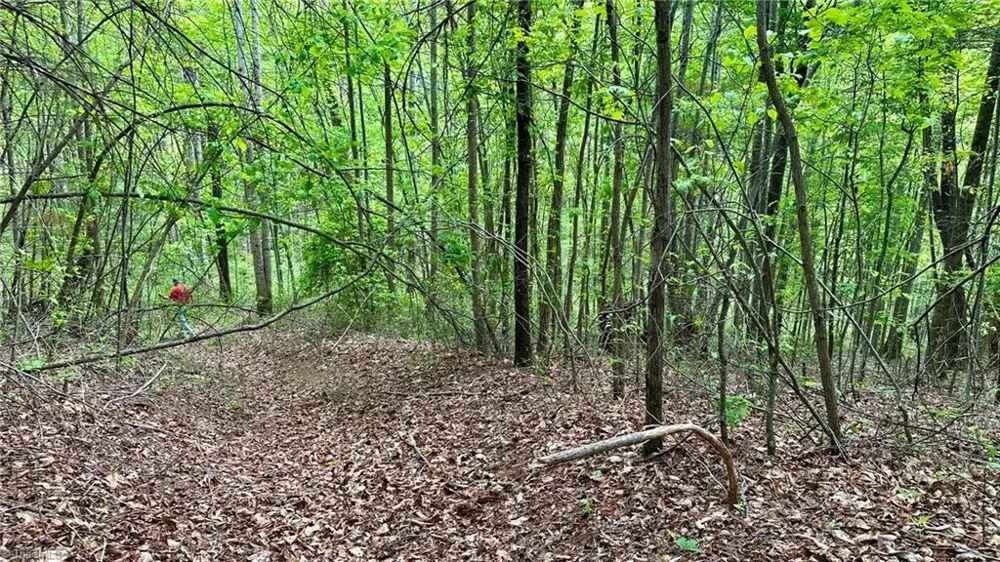 000 Old NC Highway 16 Millers Creek, NC 28651