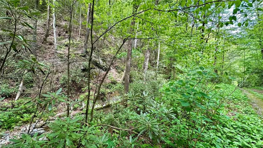000 Old NC Highway 16 Millers Creek, NC 28651