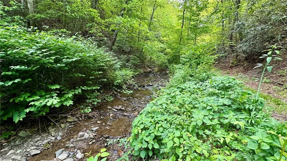 000 Old NC Highway 16 Millers Creek, NC 28651