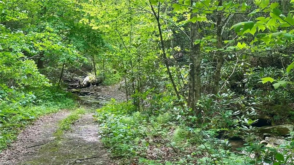 000 Old NC Highway 16 Millers Creek, NC 28651