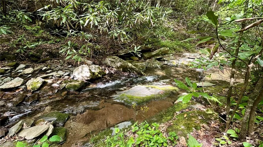 000 Old NC Highway 16 Millers Creek, NC 28651