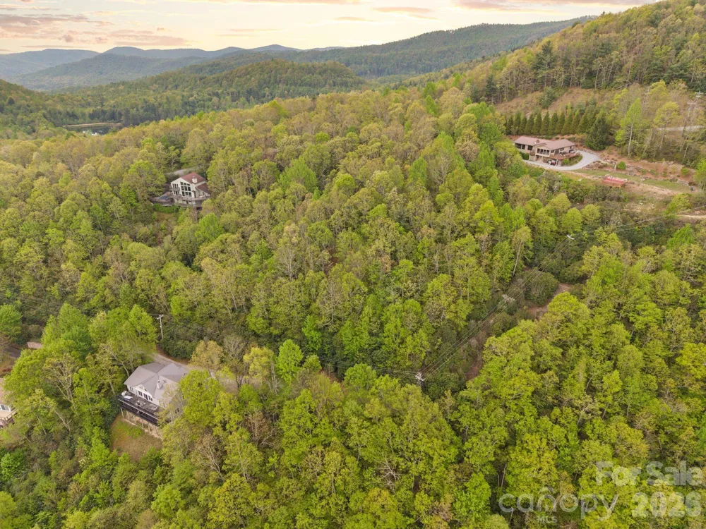 TBD Pinnacle Mountain Road Zirconia, NC 28790