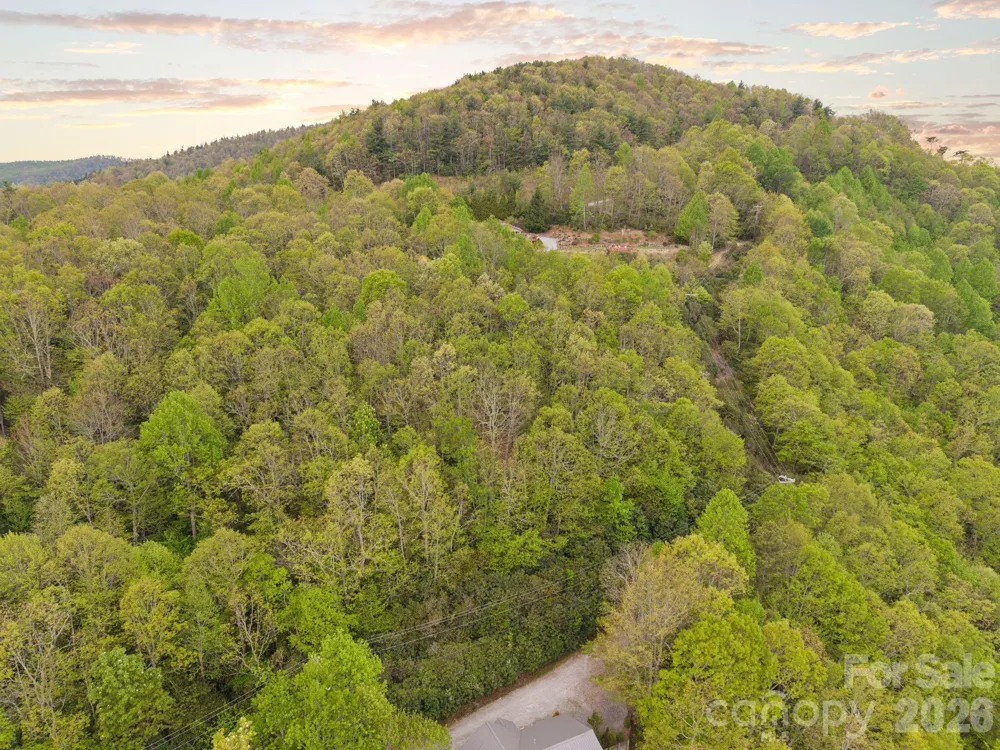 TBD Pinnacle Mountain Road Zirconia, NC 28790
