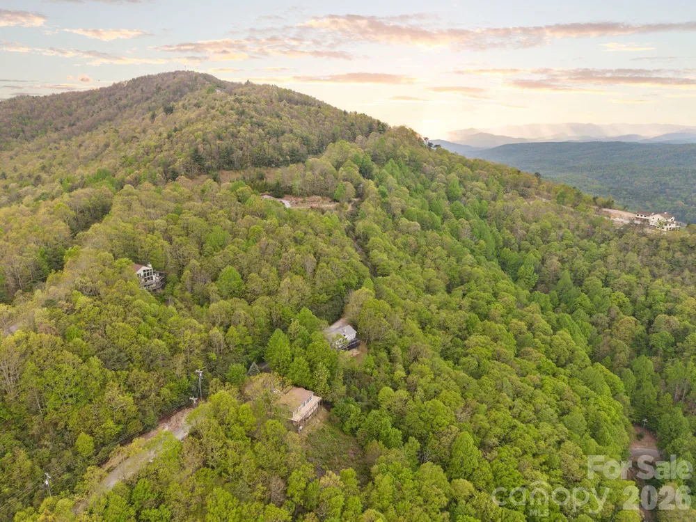 TBD Pinnacle Mountain Road Zirconia, NC 28790