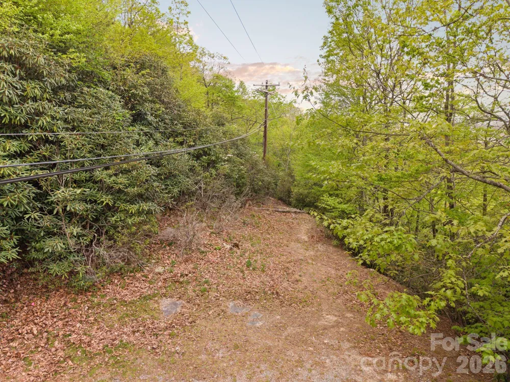 TBD Pinnacle Mountain Road Zirconia, NC 28790