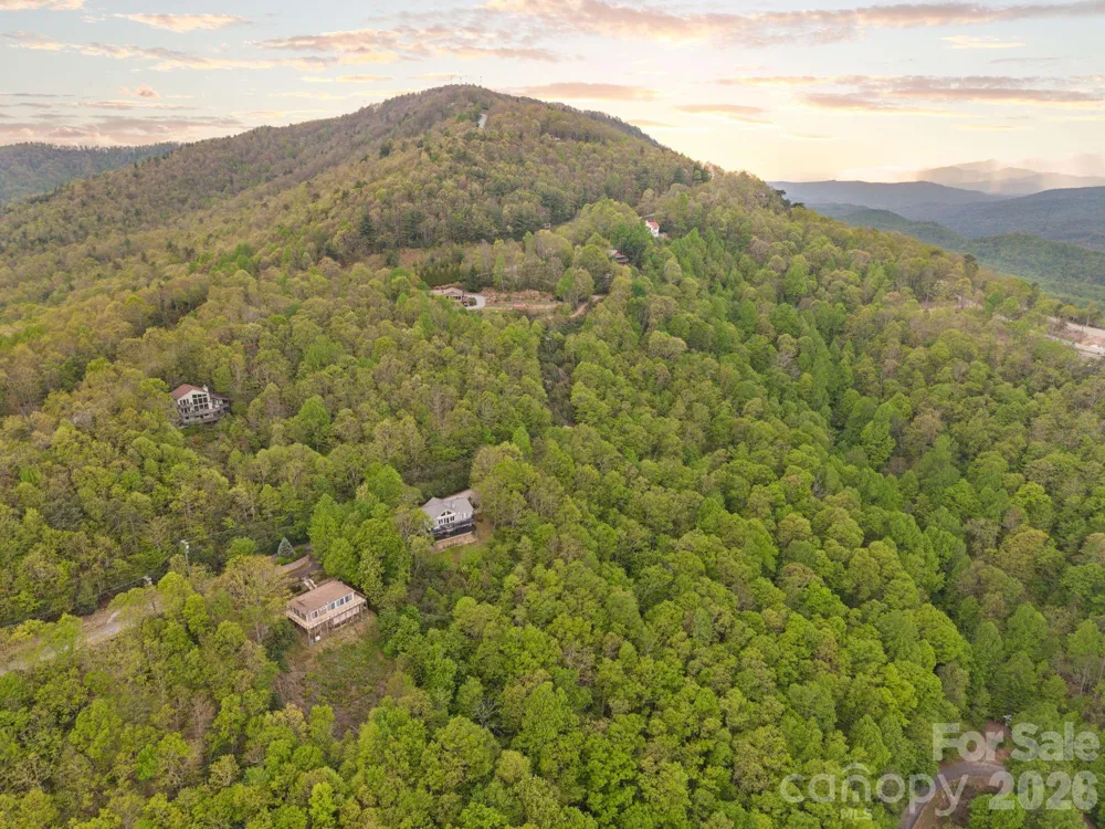 TBD Pinnacle Mountain Road Zirconia, NC 28790