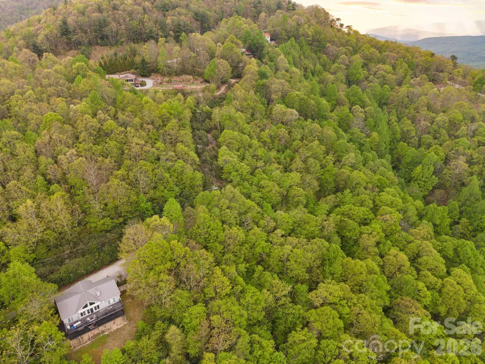 TBD Pinnacle Mountain Road Zirconia, NC 28790