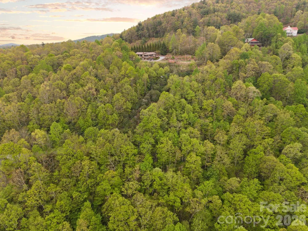 TBD Pinnacle Mountain Road Zirconia, NC 28790