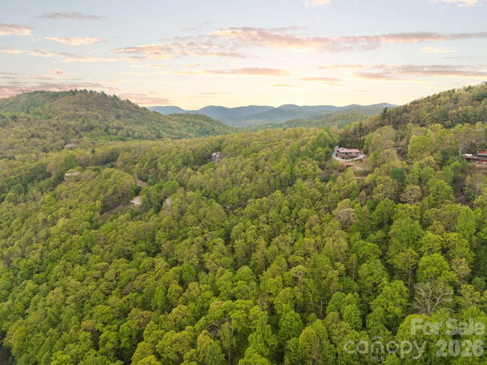 TBD Pinnacle Mountain Road Zirconia, NC 28790