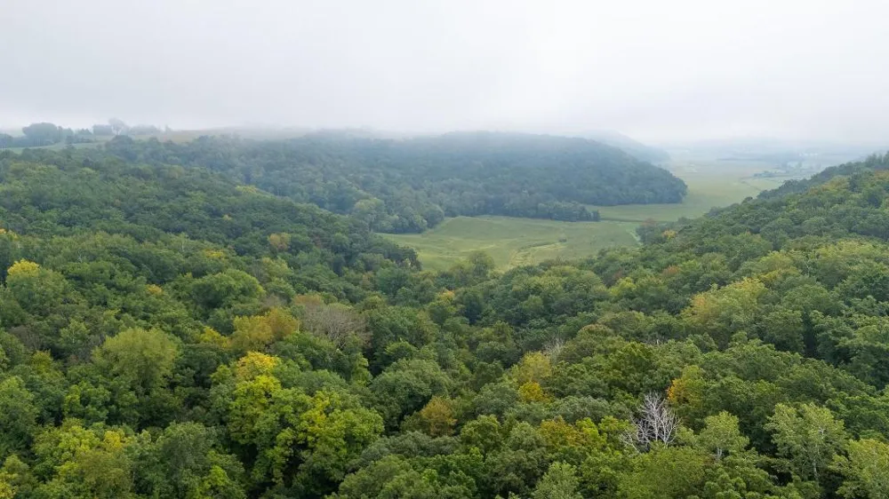 TBD (Lot 4) Goat Back Road Pepin, WI 54759