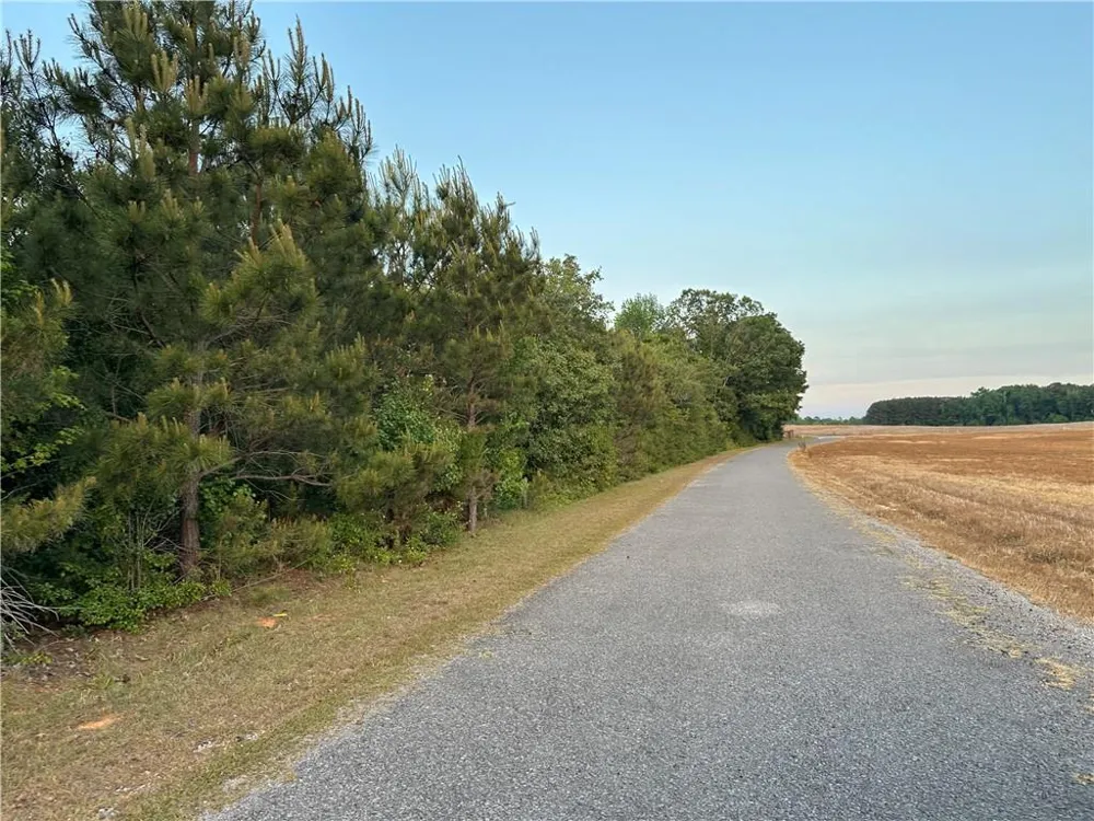 Lot 7 County Road 520 Centre, AL 35960