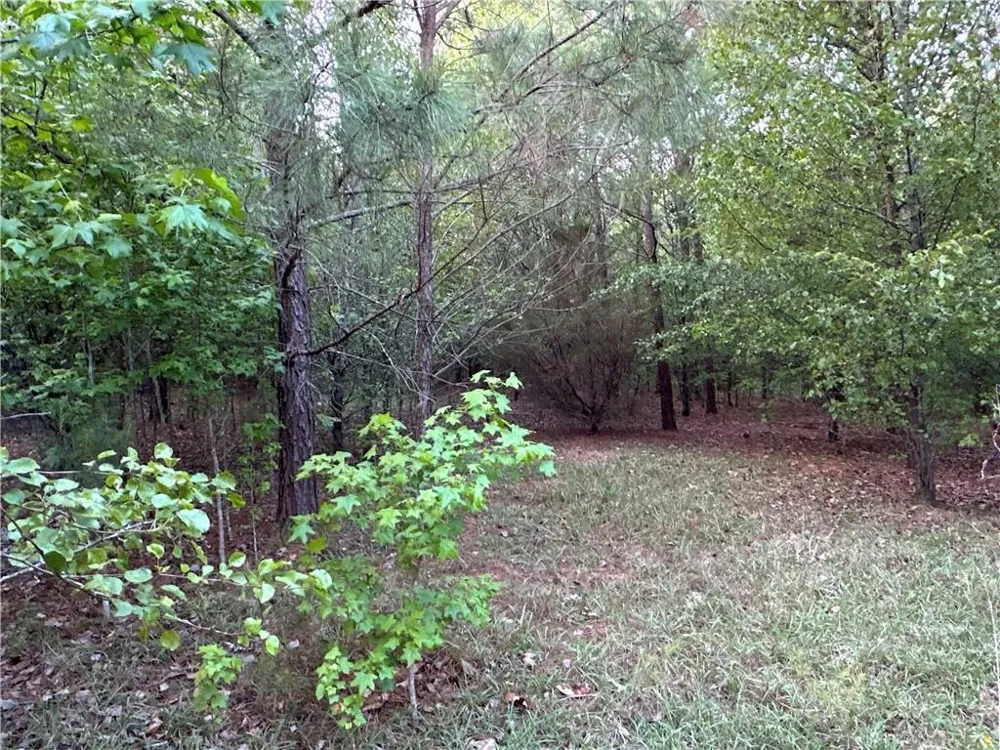 Lot 7 County Road 520 Centre, AL 35960