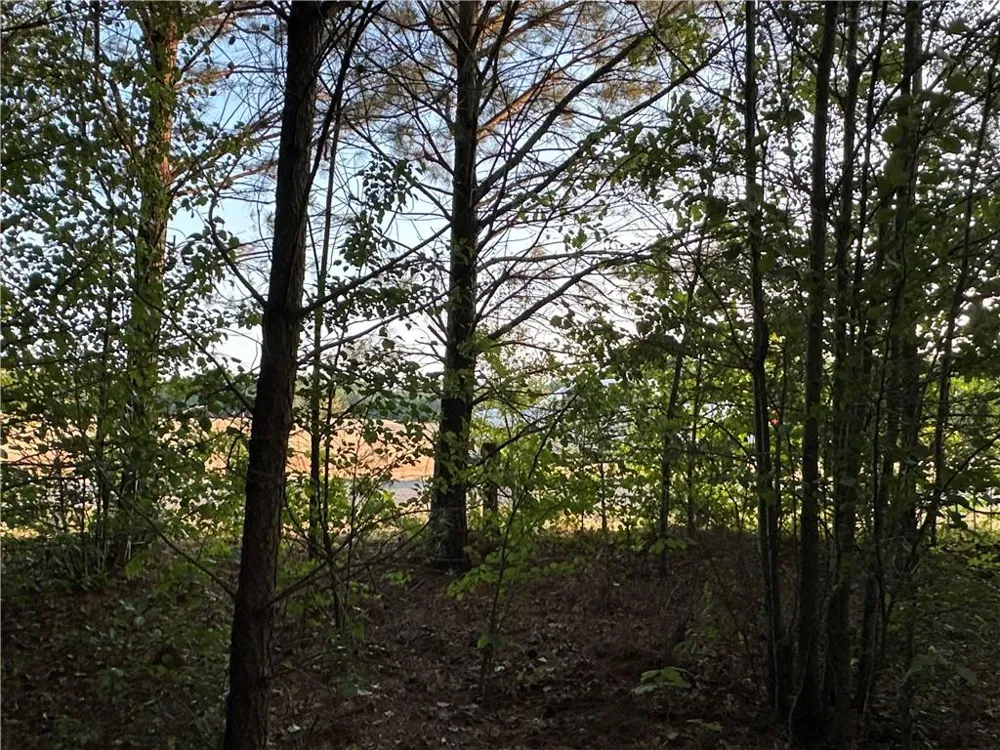 Lot 7 County Road 520 Centre, AL 35960