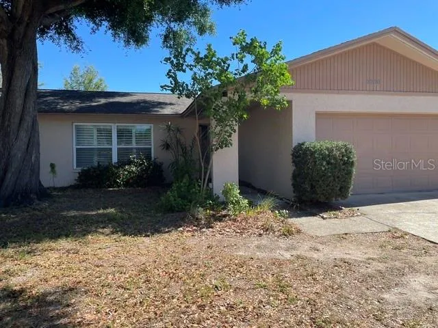 2230 BIRCHBARK TRAIL Clearwater, FL 33763