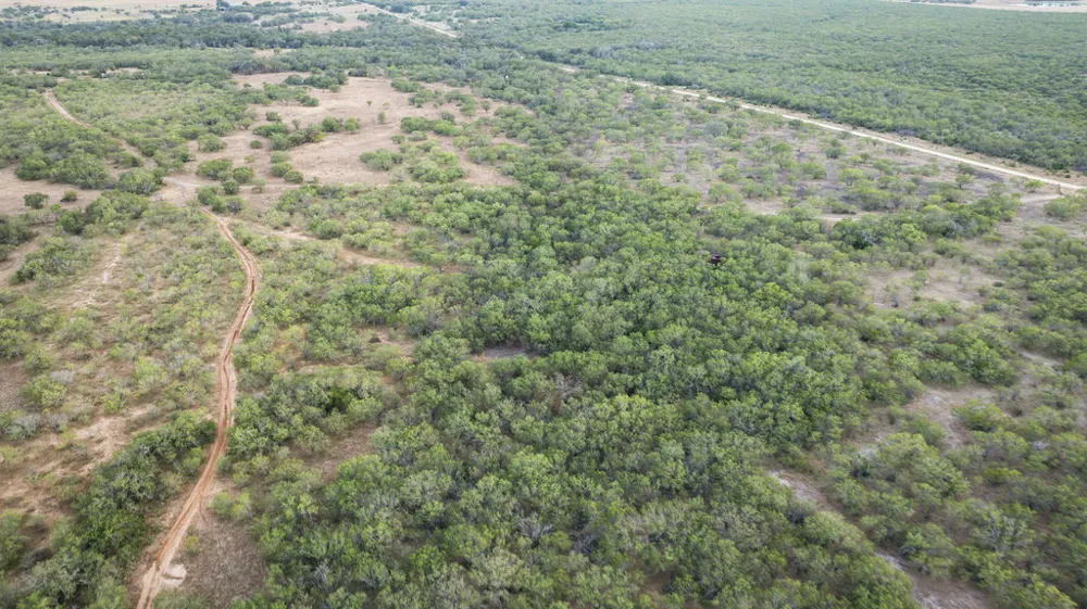 5 CR 171 Nixon, TX 78140