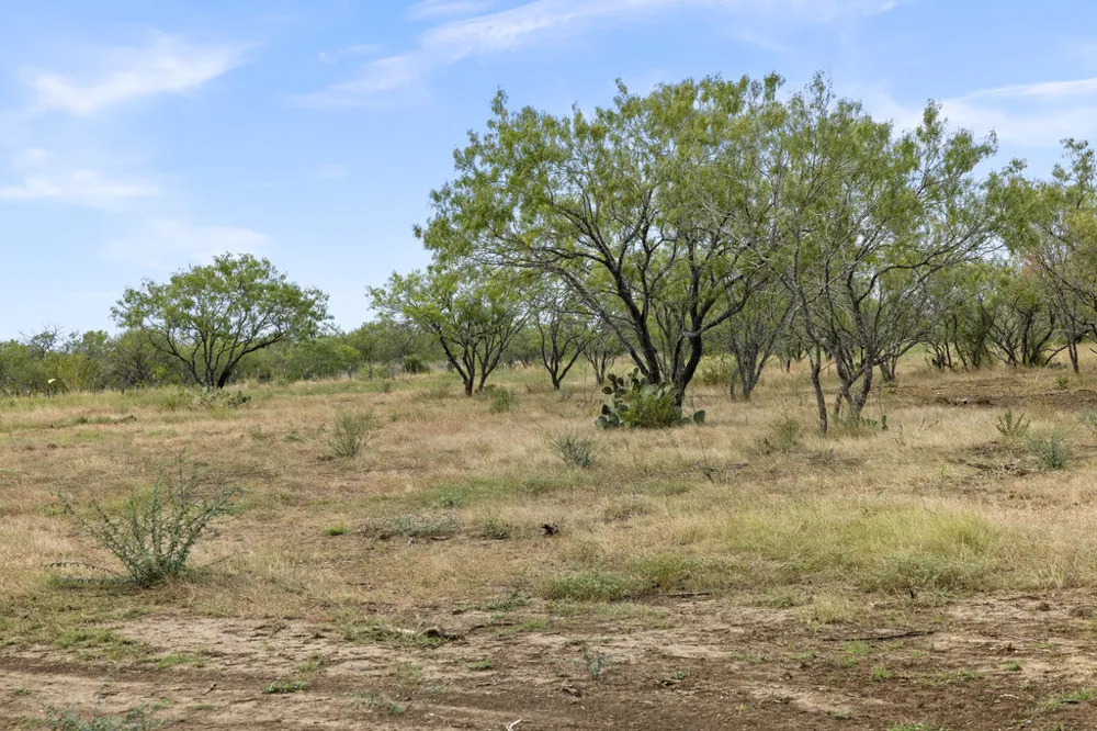5 CR 171 Nixon, TX 78140