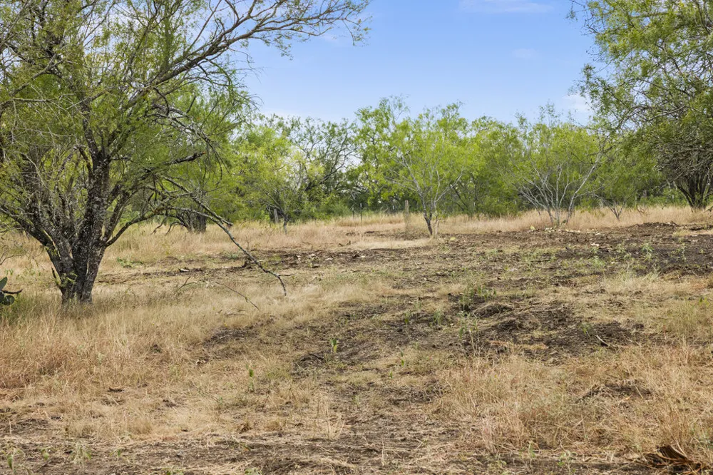 5 CR 171 Nixon, TX 78140