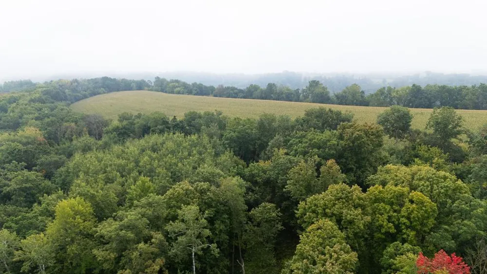 TBD (Lot 3) Goat Back Road Pepin, WI 54759
