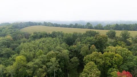 TBD (Lot 3) Goat Back Road