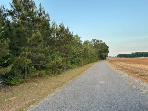 Lot 8 County Road 520