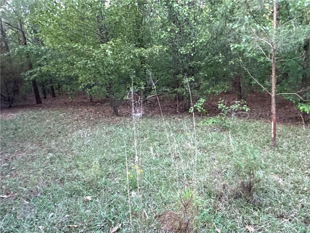 Lot 8 County Road 520 Centre, AL 35960