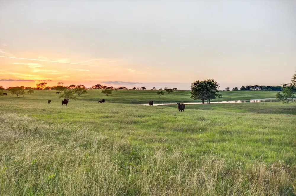501 Alsdorf Road Ennis, TX 75119