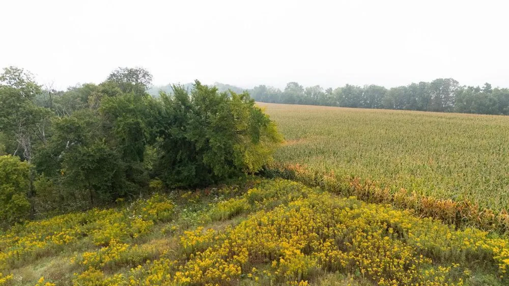 TBD (Lot  2) Goat Back Road Pepin, WI 54759