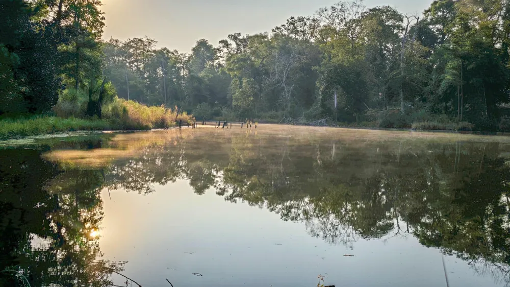 Butler Road Livingston, TX 77351