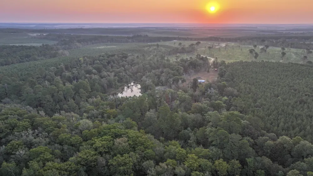Butler Road Livingston, TX 77351