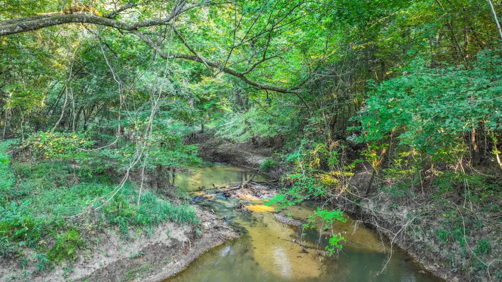 Butler Road Livingston, TX 77351