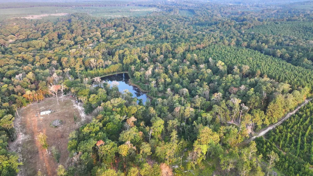 Butler Road Livingston, TX 77351