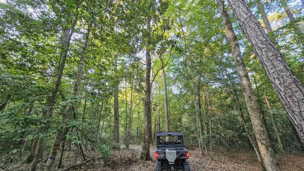Butler Road Livingston, TX 77351